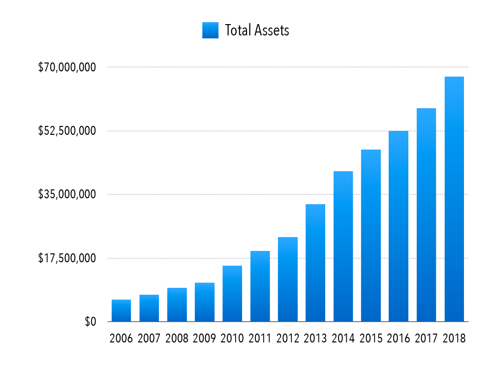 Total Assets Chart